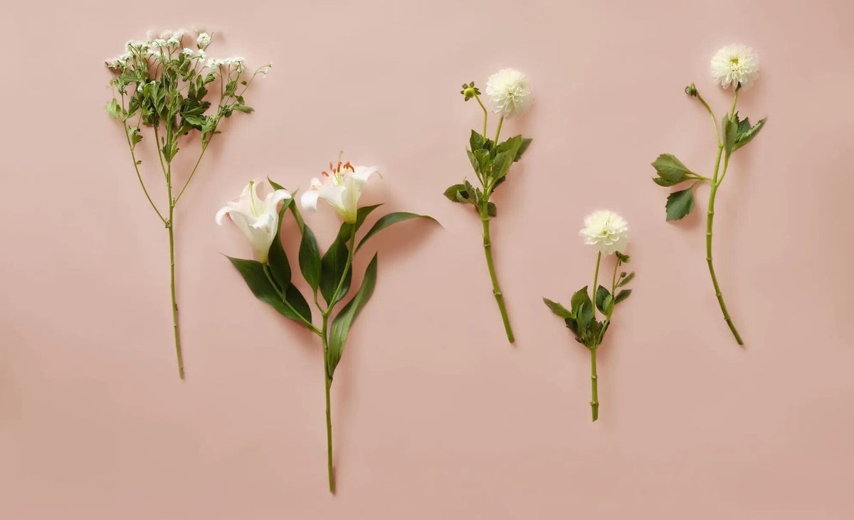 Female founded sustainable sportswear and outdoor clothing brands