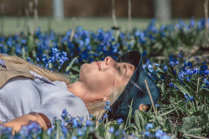 How to start beekeeping? A guide for beginners