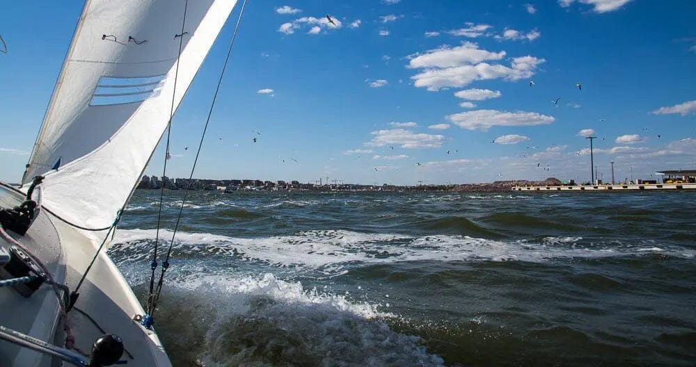 Baltic Sea Collection