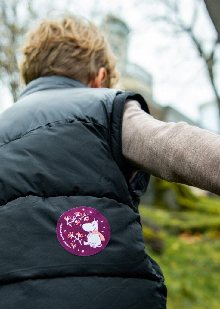 FabPatch MOOMIN 2pcs Care products Vaatelaastari