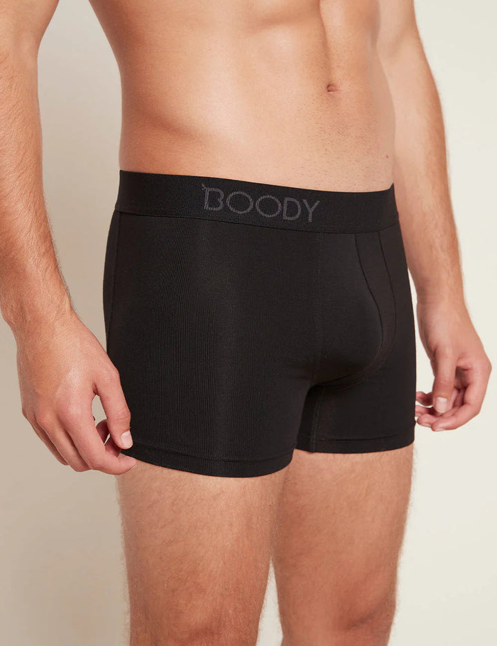 M's Everyday Boxer Briefs - Bamboo Viscose Underwear Boody