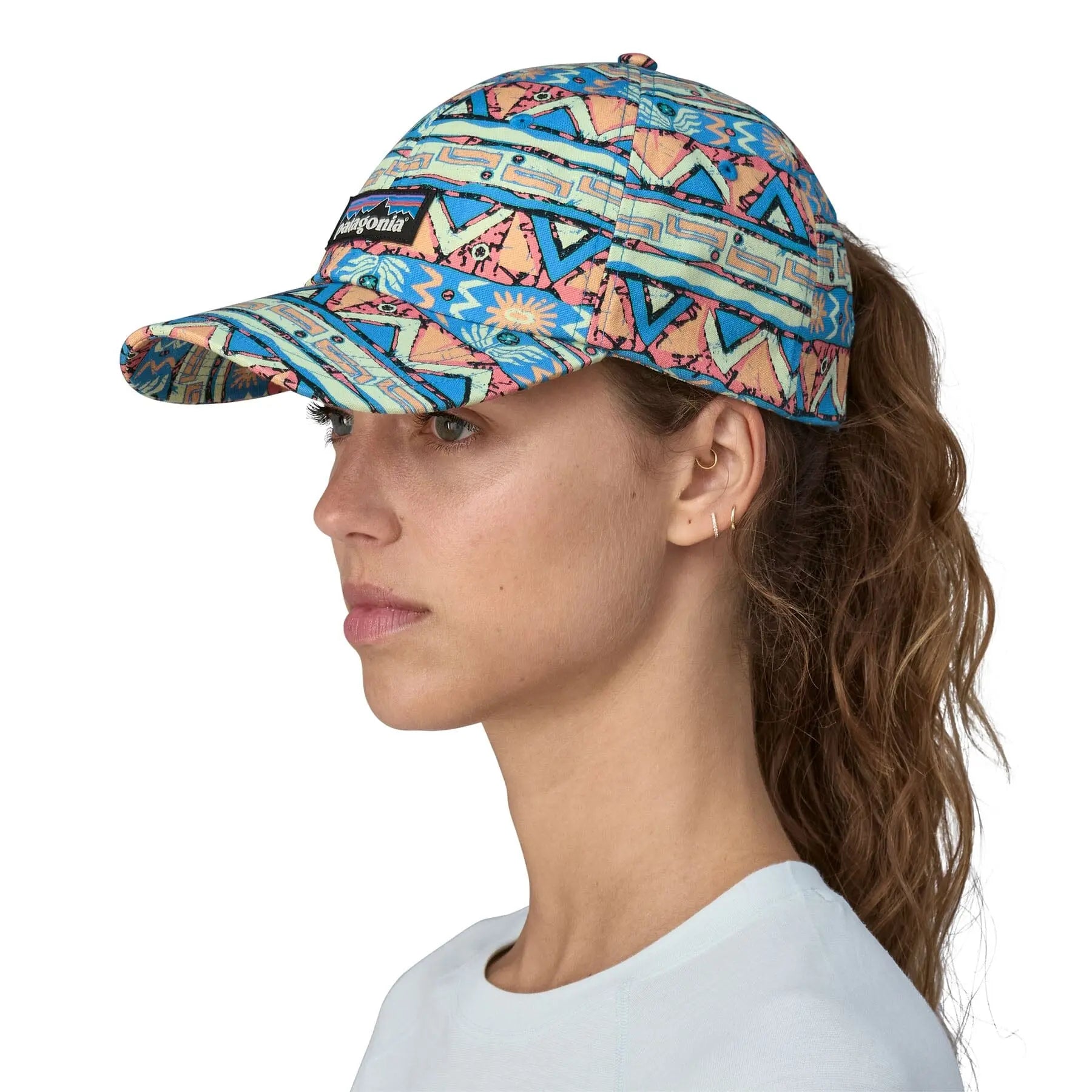 Unisex P-6 Label Trad Cap - Organic Cotton Headwear Patagonia High Hopes Geo Small: Salamander Green