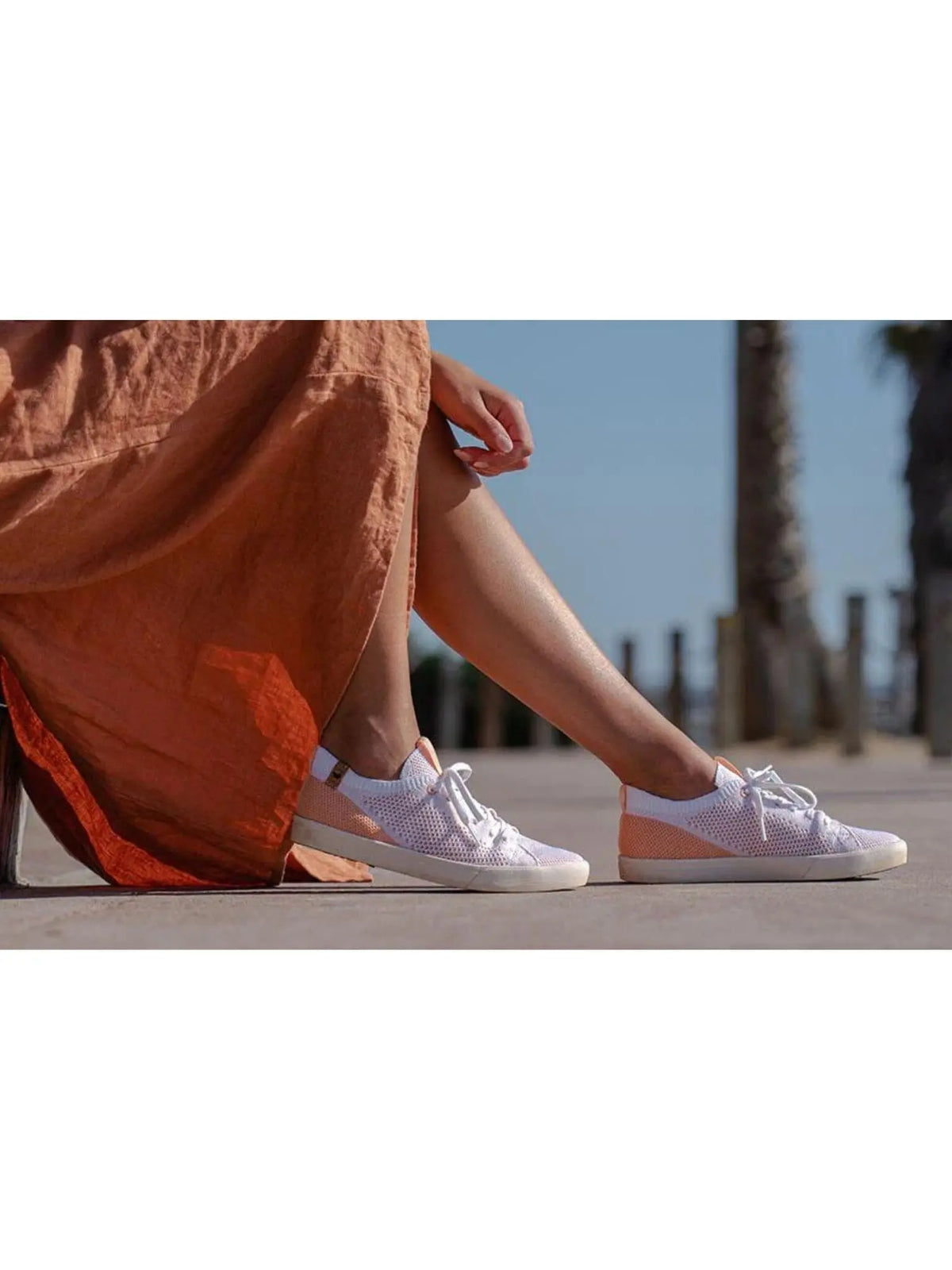 W's Cannon Knit - Recycled PET Shoes Saola