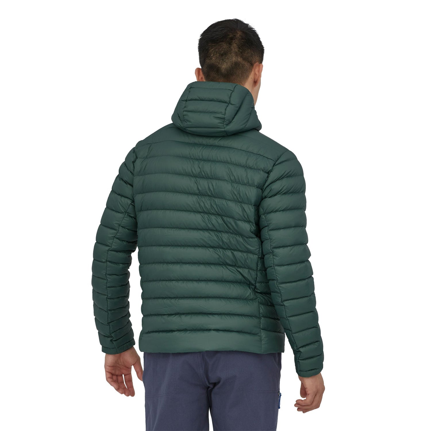 Patagonia M's Down Sweater Hoody - Recycled Nylon & RDS certified Down Pinyon Green Jacket