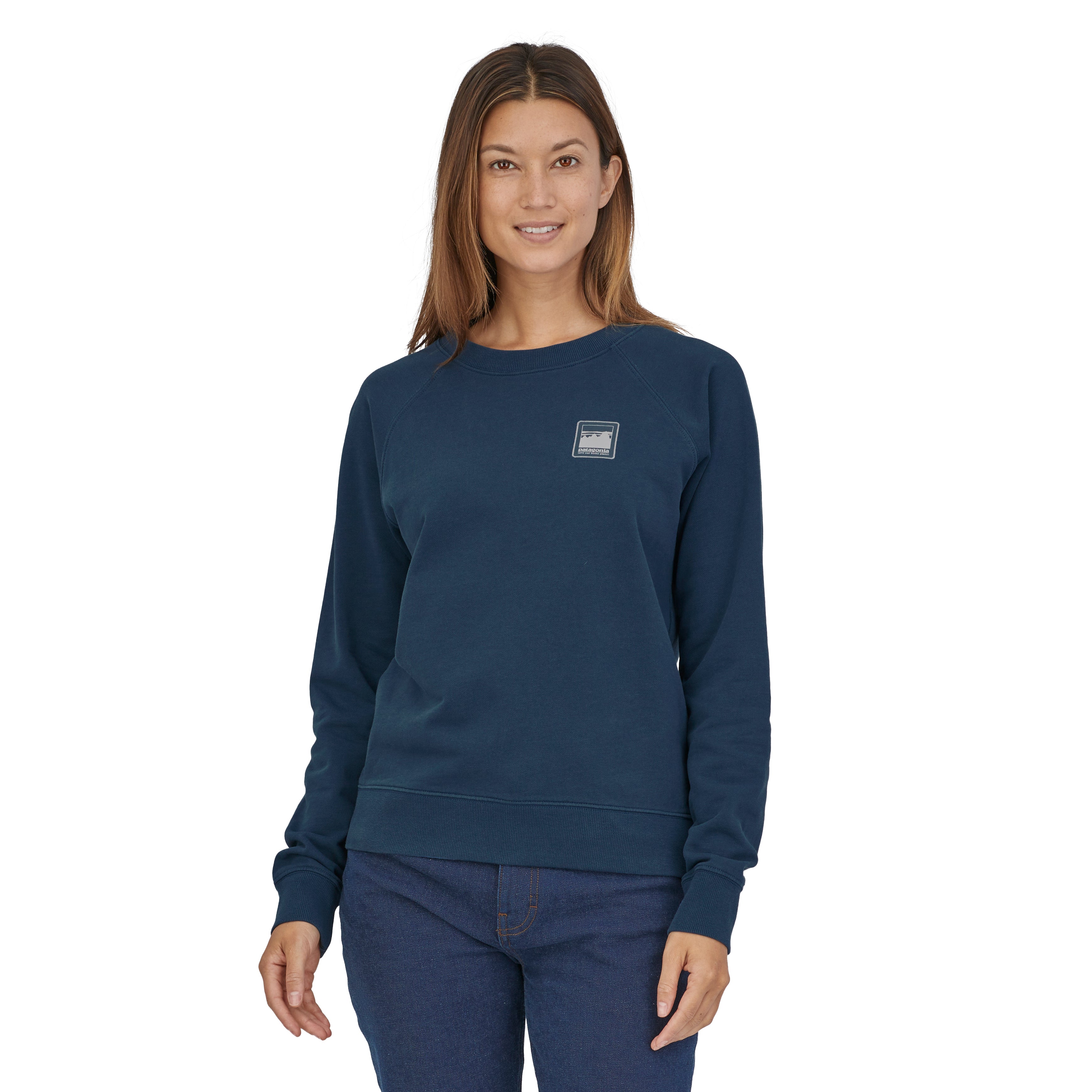 Patagonia shop sticker discount sweatshirt