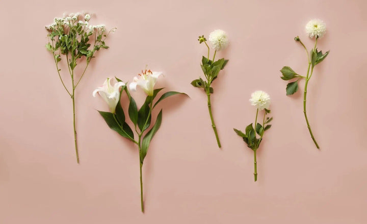 Female founded sustainable sportswear and outdoor clothing brands