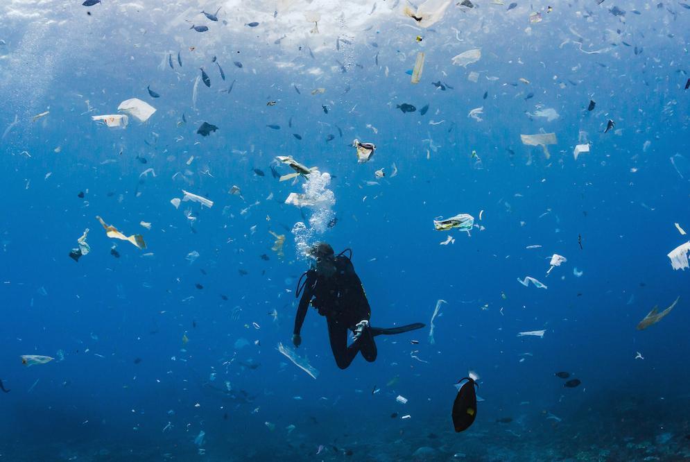 Fight Against Ocean Plastic Pollution