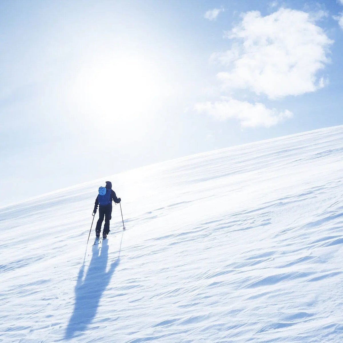 How Can We Protect Our Winters? - Interview With POW Ambassador Jani Johansén