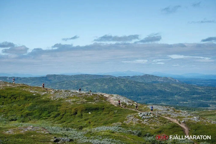 Pre-Race Vegetarian Food Tips for Endurance Athletes