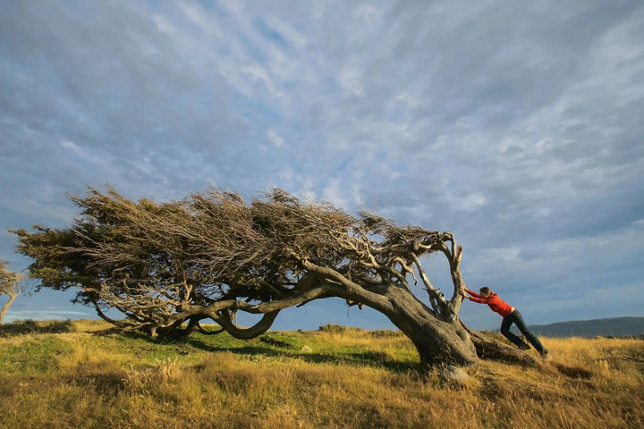 What are the differences between Patagonia shell-jackets?