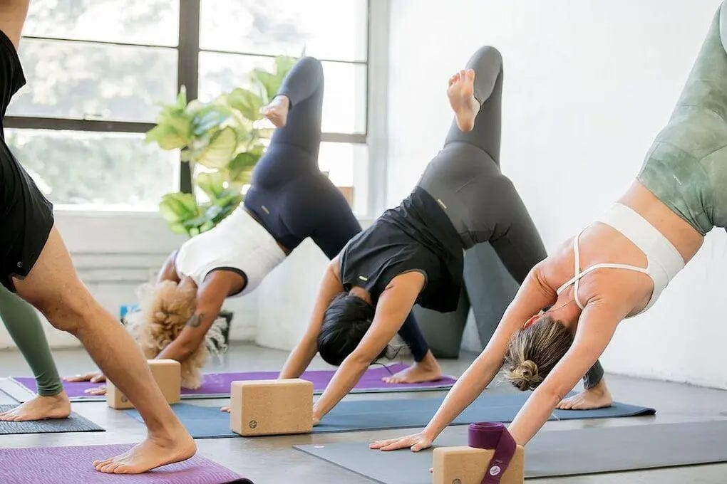 Manduka - Eco-Friendly Yoga Gear‎