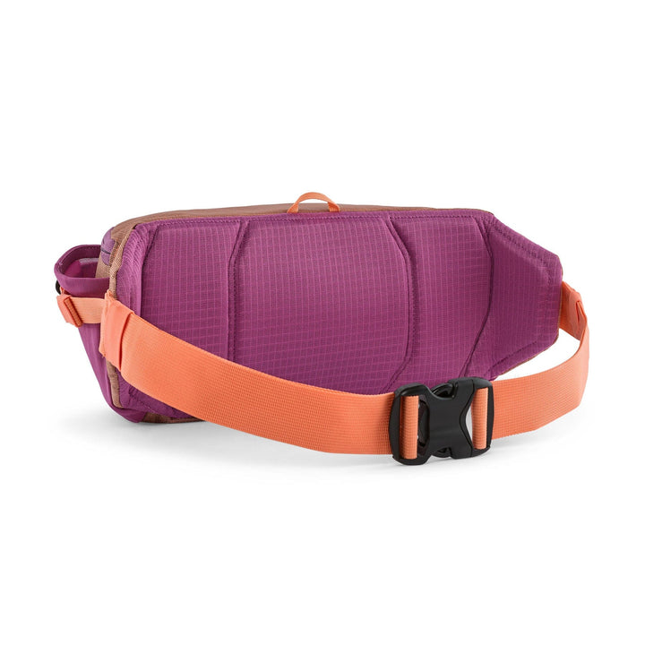 Black Hole® Waist Pack 5L Waist Pack Patagonia 