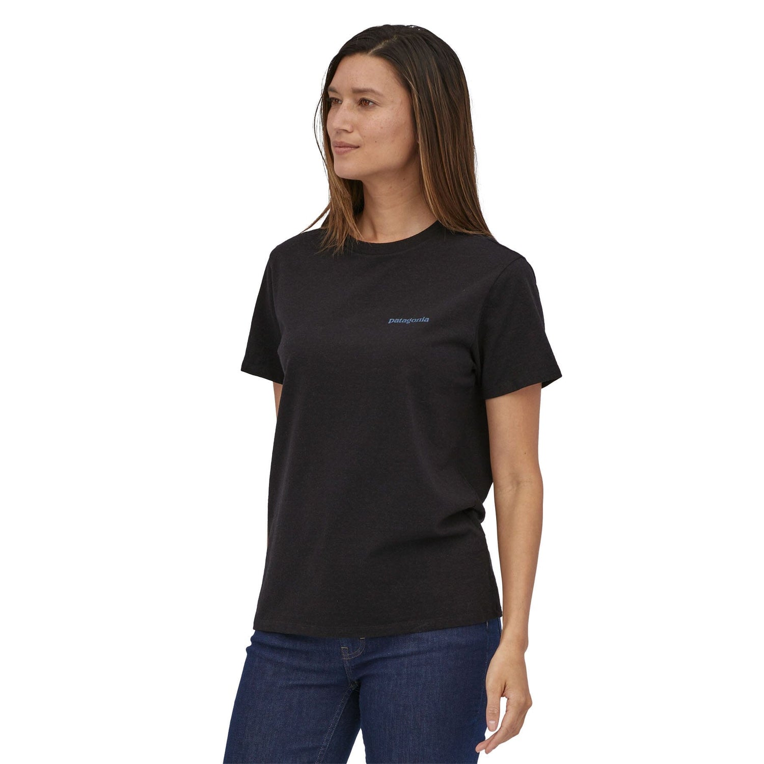 Patagonia Fitz Roy Icon Responsibili-Tee Ink Black Shirt
