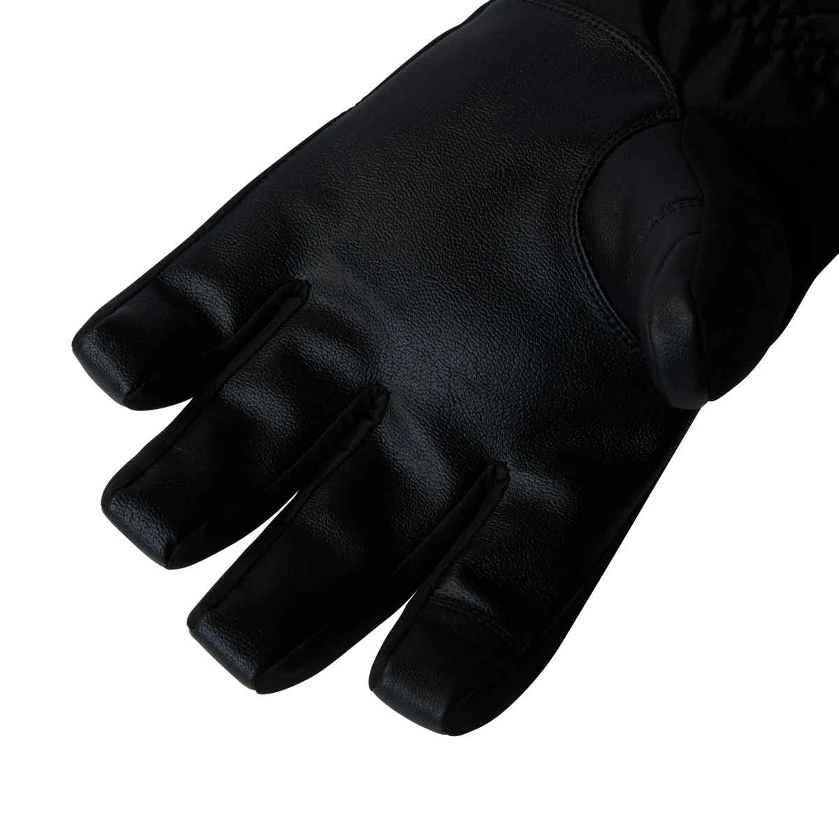 M's Montana Ski Gloves Gloves The North Face