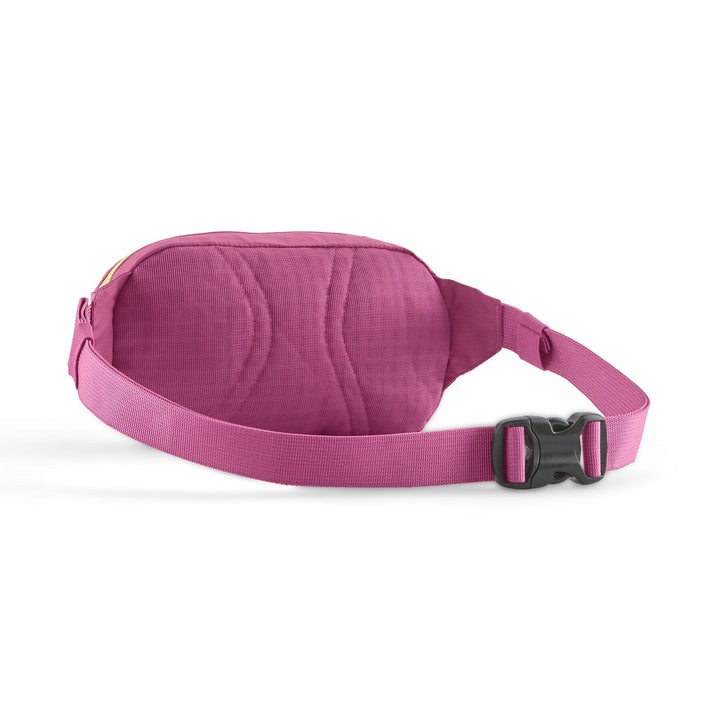 Terravia Mini Hip Bag 1L - Recycled Nylon Bags Patagonia 