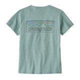 P-6 Outline: Virtually Blue