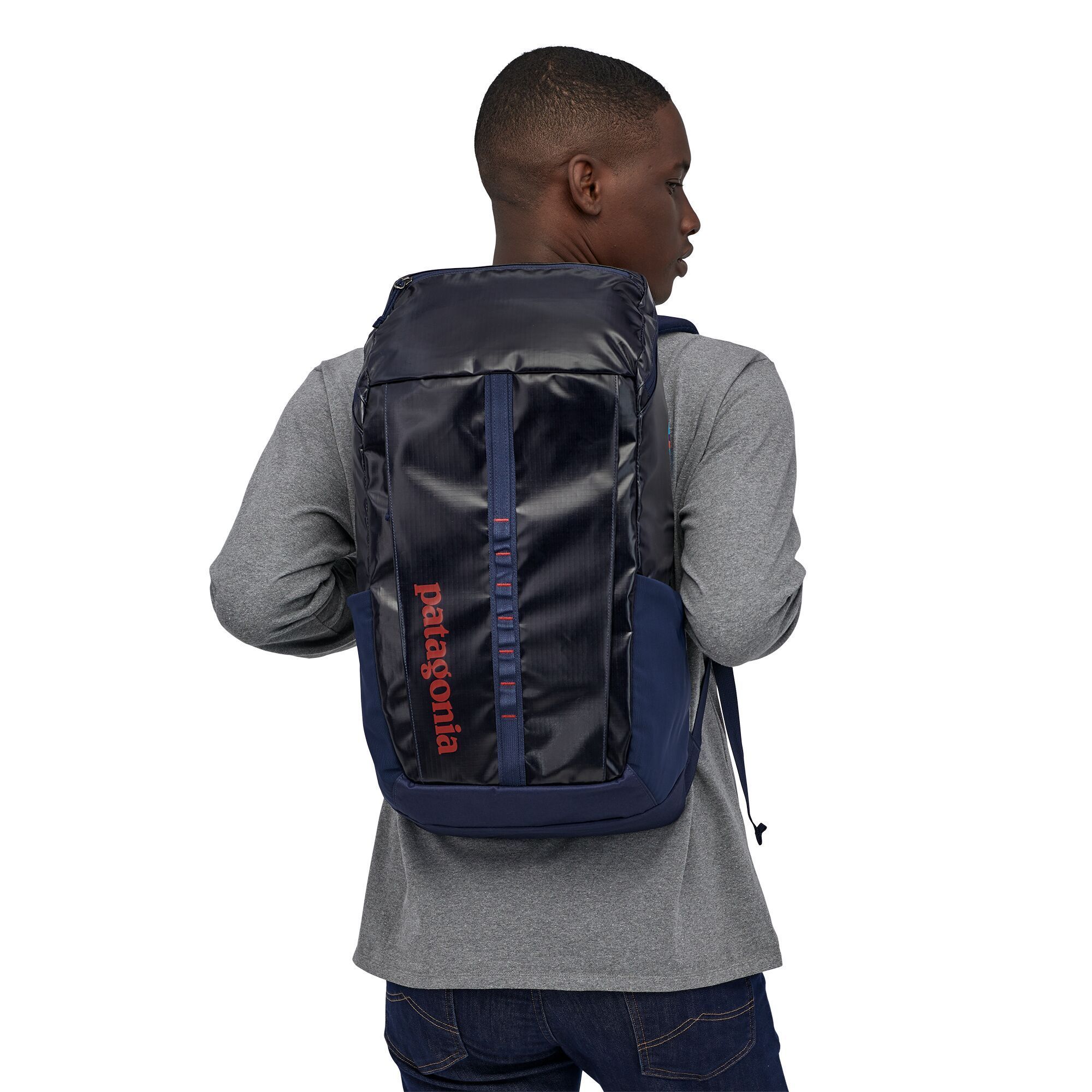 gaben transfusion gøre det muligt for Patagonia Black Hole Pack 25L - Backpack made from Recycled Polyester -  Weekendbee - sustainable sportswear