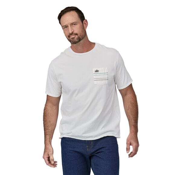 Patagonia striped shirt online
