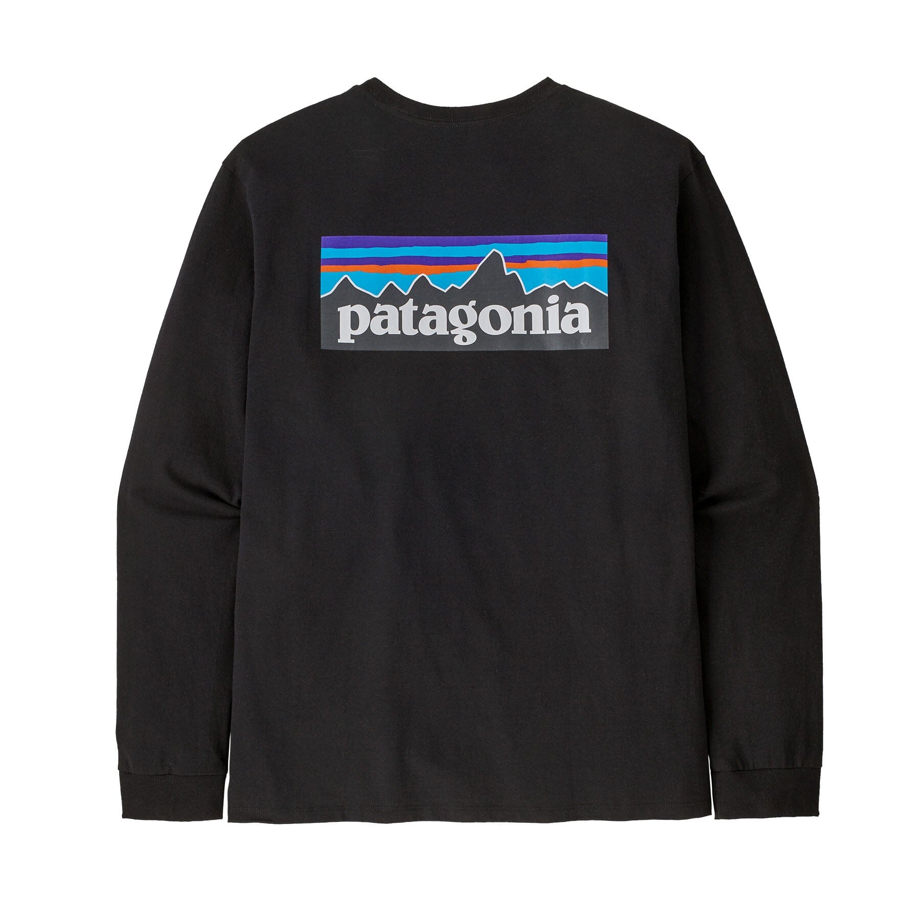 パタゴニア P-6 Responsibili-Tee S STTR 2018