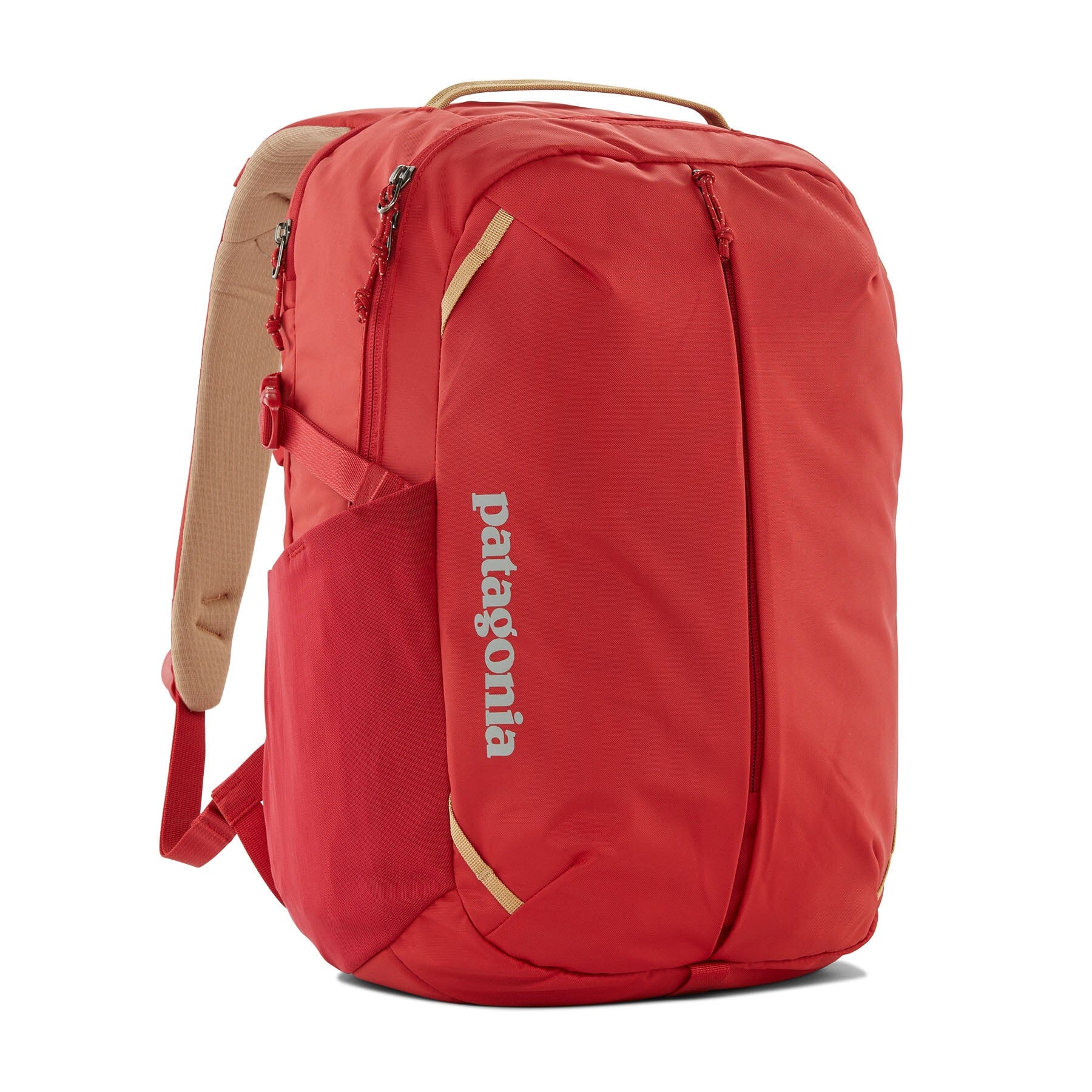 Patagonia facebook backpack hot sale